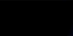 cropped-Website-Header.jpg